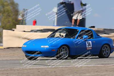 media/Oct-04-2025-OnGrid (Sat) [[44bd565ffa]]/Purple Group/Grapevine/